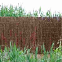 Декоративна ограда от Ракита, размер 1х3м., снимка 2 - Огради и мрежи - 45434228