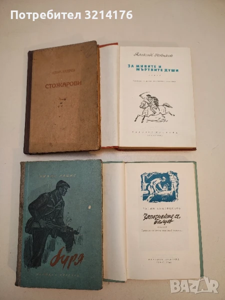 Стожарови - Елена Катерли, снимка 1