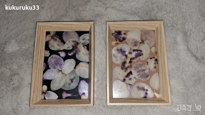 Хербаризирани орхидеи, двете за 14лв., снимка 1