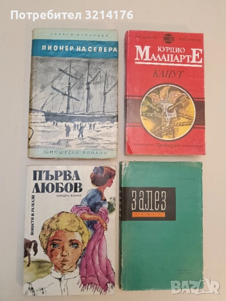 Пионер на Севера - Георги Кублицки, снимка 1