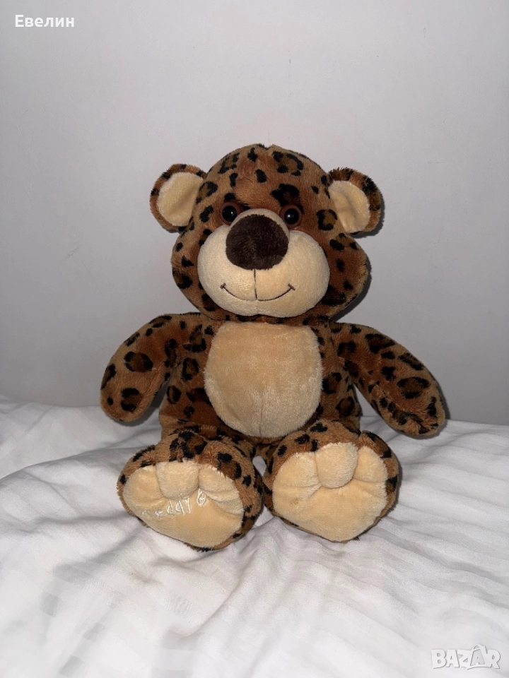 Плюшена мечка, снимка 1