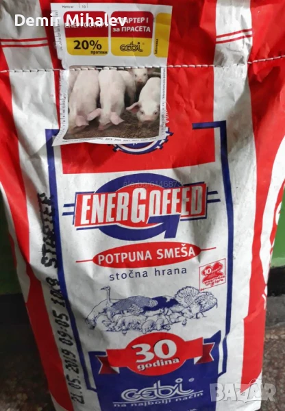 Малки прасенца , снимка 1