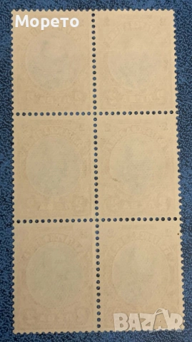 1901г-Редовни Фердинанд-2 лв(чист блок 6 бр. без гума), снимка 3 - Филателия - 51969915