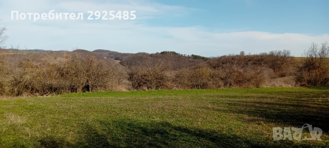 Урегулиран поземлен имот – 1380 кв.м. в с. Конево, общ. Върбица, снимка 2 - Парцели - 53710789