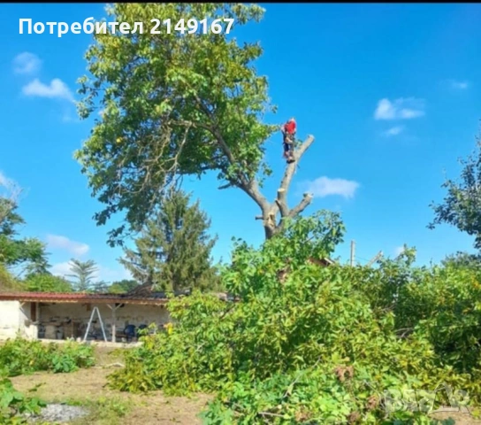 Рязане почистване извозване , снимка 6 - Други услуги - 53743500