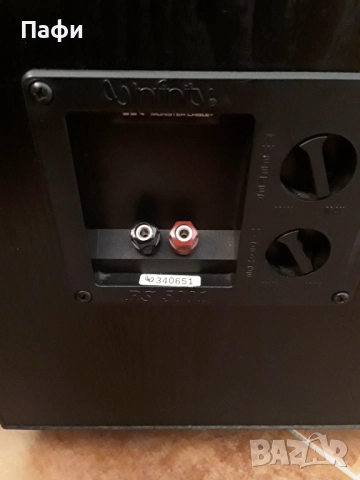 Infinity SR 5001, снимка 11 - Тонколони - 52942417