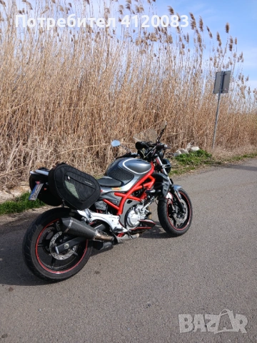 Suzuki gladius sfv tuning, снимка 2 - Мотоциклети и мототехника - 53722054
