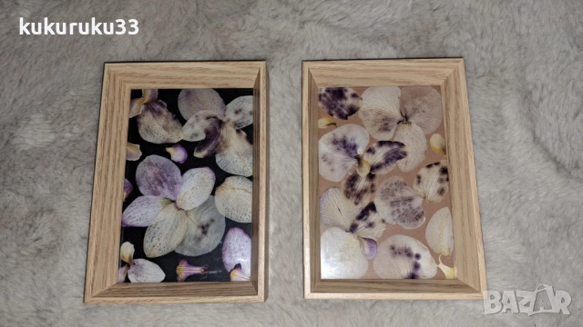 Хербаризирани орхидеи, двете за 14лв.