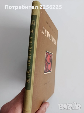 Помология 1958г, снимка 10 - Специализирана литература - 52678038