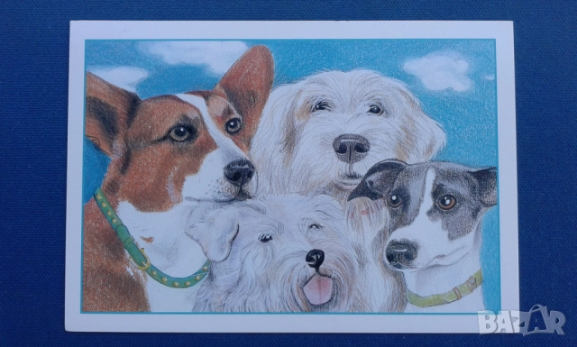 ASPCA(асоциация за защита на животните).3 двойни картички,издадени в САЩ , снимка 5 - Колекции - 52380848