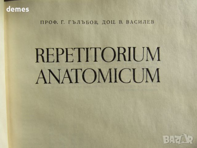 Г. Гълъбов, Васил Василев "Repetitorium anatomicum", снимка 4 - Учебници, учебни тетрадки - 46563697