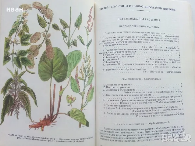 Разпознаване и събиране на билки - Борис Китанов - 1987г., снимка 5 - Енциклопедии, справочници - 48175404