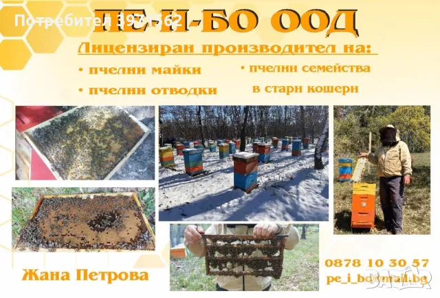 отводки, снимка 4 - За пчели - 49523470