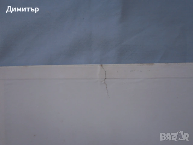 Натюрморт м.б. платно 30х40см., снимка 7 - Картини - 53582461