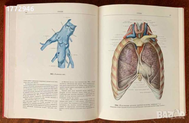 Атлас анатомии человека, Синельников, том 1-3, снимка 8 - Специализирана литература - 45251781
