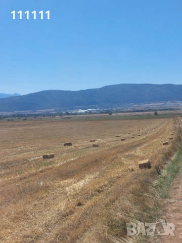 Продавам бали слама , снимка 17 - За селскостопански - 51257470