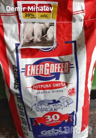 Малки прасенца , снимка 1