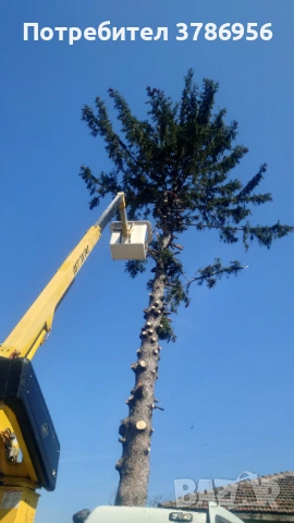 Рязане и кастрене на опасни дървета.Сaниране на сгради.Ремонт улуци и водосточни тръби.Миене на фаса, снимка 3 - Кърти, чисти, извозва - 53838655