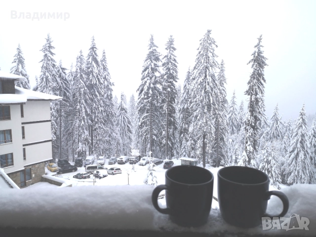 Уютно студио в Пампорово за нощувки , снимка 9 - Квартири, нощувки - 52339714