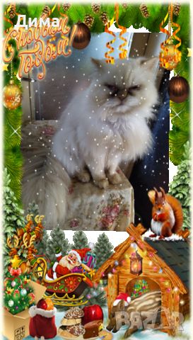 Персийски дългокосместа хималайски колорпойнт сини очи женско и мъжко малки котета разкошни любимци!, снимка 14 - Персийска - 43549487