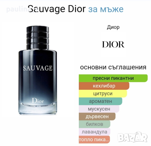 Мъжки парфюм "Dark blue" by G. Bellini / 100ml EDP , снимка 4 - Мъжки парфюми - 45003063