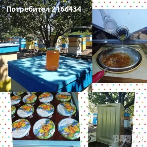 пчелен мед, снимка 2 - За пчели - 51159054
