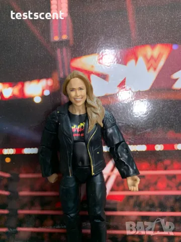 Екшън фигура WWE Ronda Rousey Ронда Раузи Mattel Figure Divas Female UFC Martial arts figure играчка, снимка 10 - Колекции - 49511846