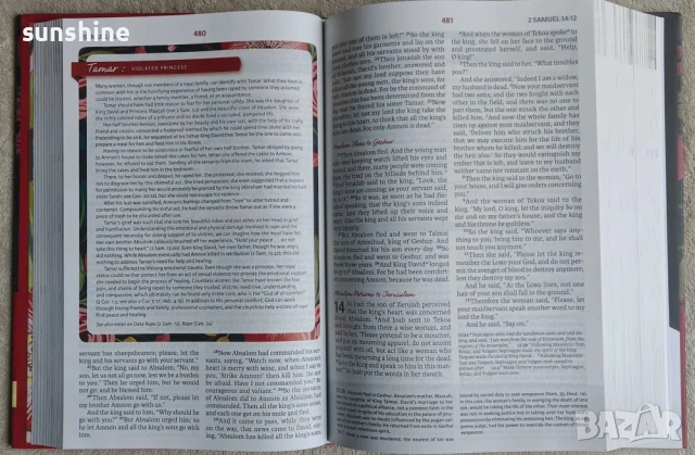 Библии на английски | Bible Amplified NKJV Woman's Study Orthodox, снимка 11 - Учебници, учебни тетрадки - 53526661