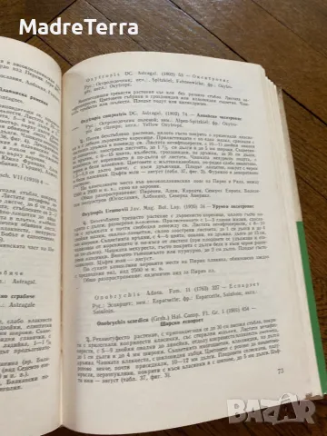 Високопланинските растения в България Н. Стоянов, Б. Китанов, снимка 7 - Енциклопедии, справочници - 46945924