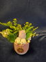 Различни видове кашпи със сапунени цветя, снимка 1 - Други услуги - 44985059