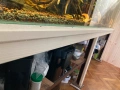Аквариум 560л 200х45х60 + метална стойка, снимка 2