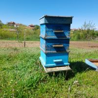Инвентар за пчели, снимка 1 - За пчели - 44114607