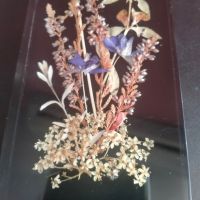 Картина със сухи растения DINA Super-LS Brillant Nr. 1725 25х7см, снимка 1 - Колекции - 45191739