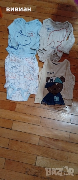 лот бодита , снимка 1