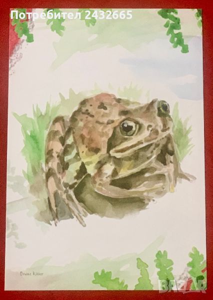 2114к. Нидерландия 2023 = “ Фауна. Природен Резерват “ Oisterwijke Vennen. “ , снимка 1