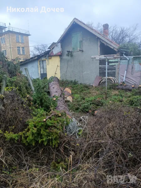 Рязане на опасни дарвета почистване на дворове и големи парцели със профисионална техника, снимка 1