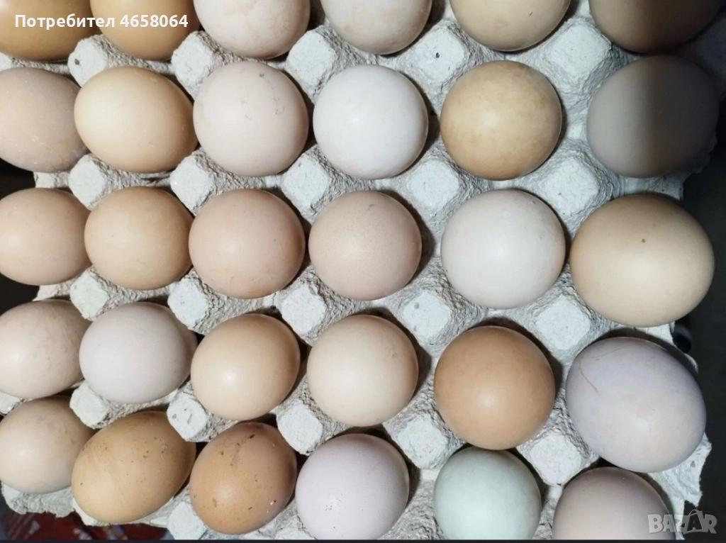 Яйца от домашни кокошки , снимка 1