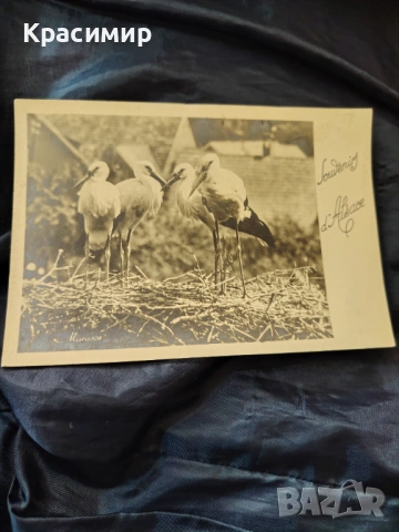 Ретро пощенска Картичка 