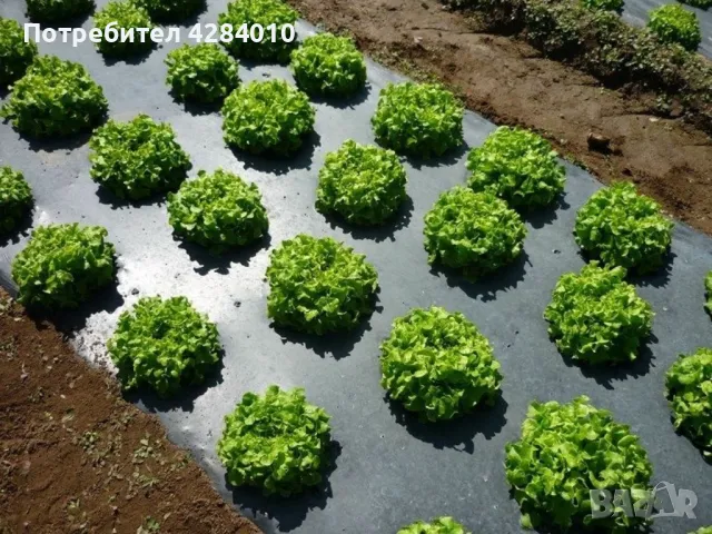 Мулч фолио черно сиво UV защита