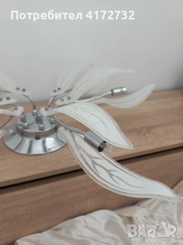 Полилей , снимка 2 - Полилеи - 52224285