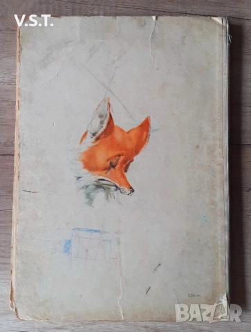 Приключенията на Пинокио Детска Книга 1963г., снимка 8 - Детски книжки - 53934768