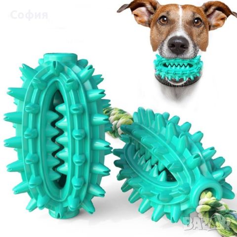 Играчка кактус – четка за зъби за домашни любимци, снимка 2 - За кучета - 45731658