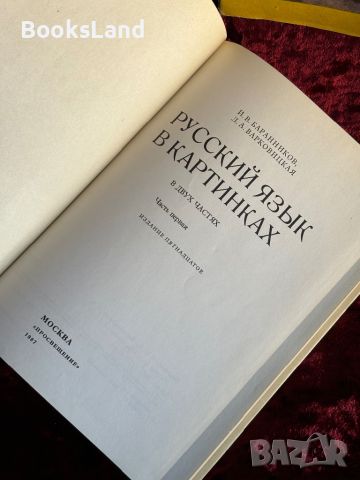 Русский язык в картинках , снимка 6 - Детски книжки - 46558756