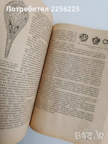 Растениевъдство, снимка 4 - Специализирана литература - 54087470