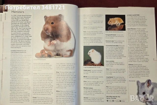 Енциклопедия за домашни любимци / The Hamlyn Family Pet Care Encyclopedia, снимка 5 - Енциклопедии, справочници - 54167821