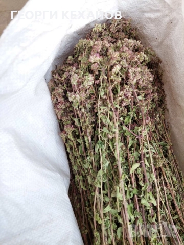 равногорски билки, подправки,сладка, снимка 8 - Домашни продукти - 52010210