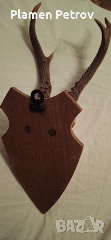 Кулие +гривна и ваза и роги , снимка 15 - Гривни - 27173851