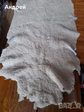 Стара естествена кожа #3, снимка 3 - Други ценни предмети - 54229914