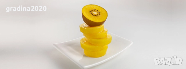 Киви Голд-Златно киви, снимка 9 - Градински цветя и растения - 28817698