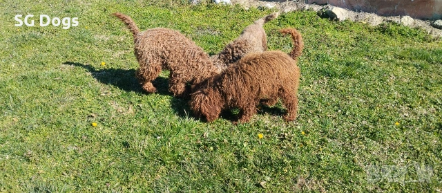 продавам лагото, снимка 14 - Други - 53779021